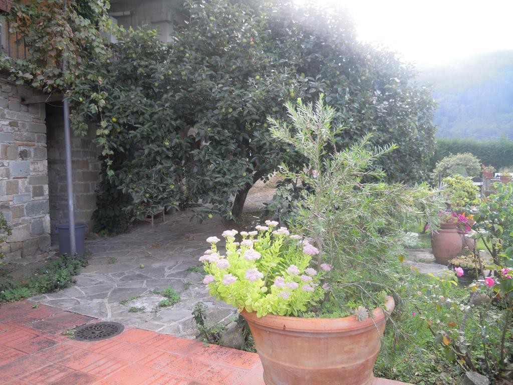 Bel Panorama Tre Guest House Pelago Exterior photo